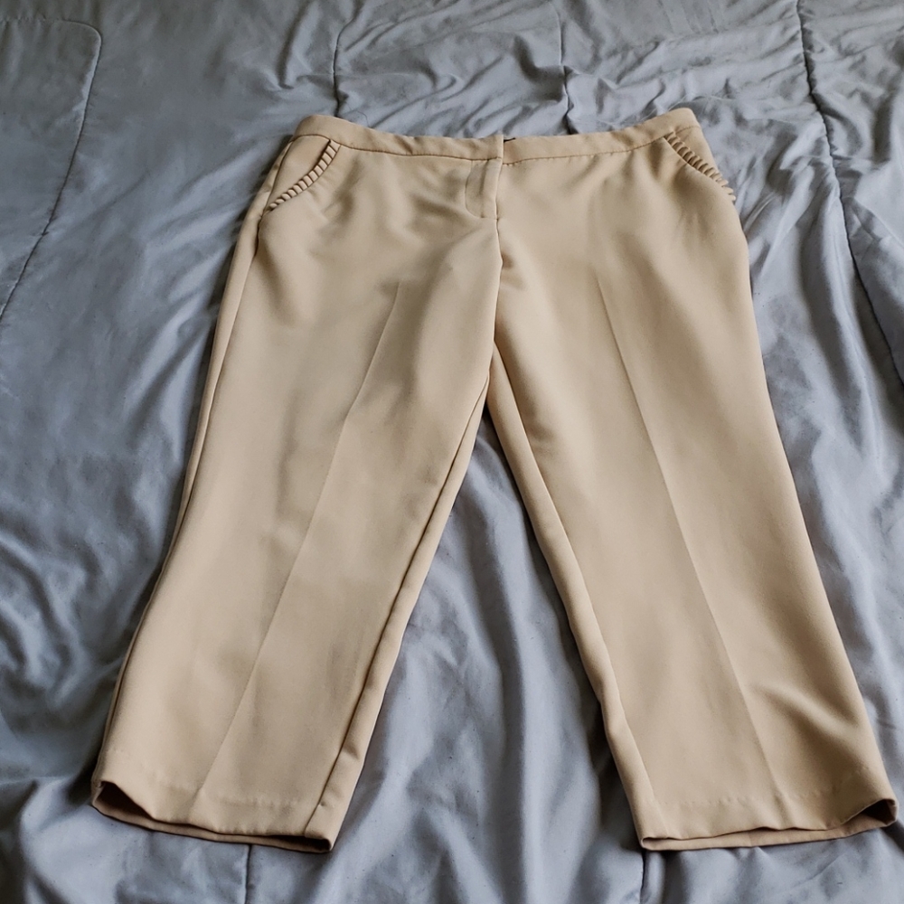 Dress pants